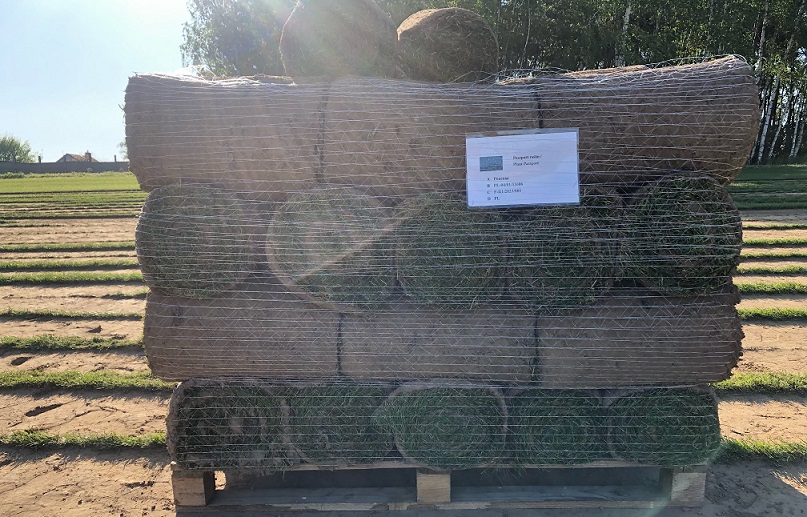 Trawnik w rolce – szybkie i sprawdzone rozwiązanie | Zielona Rolka